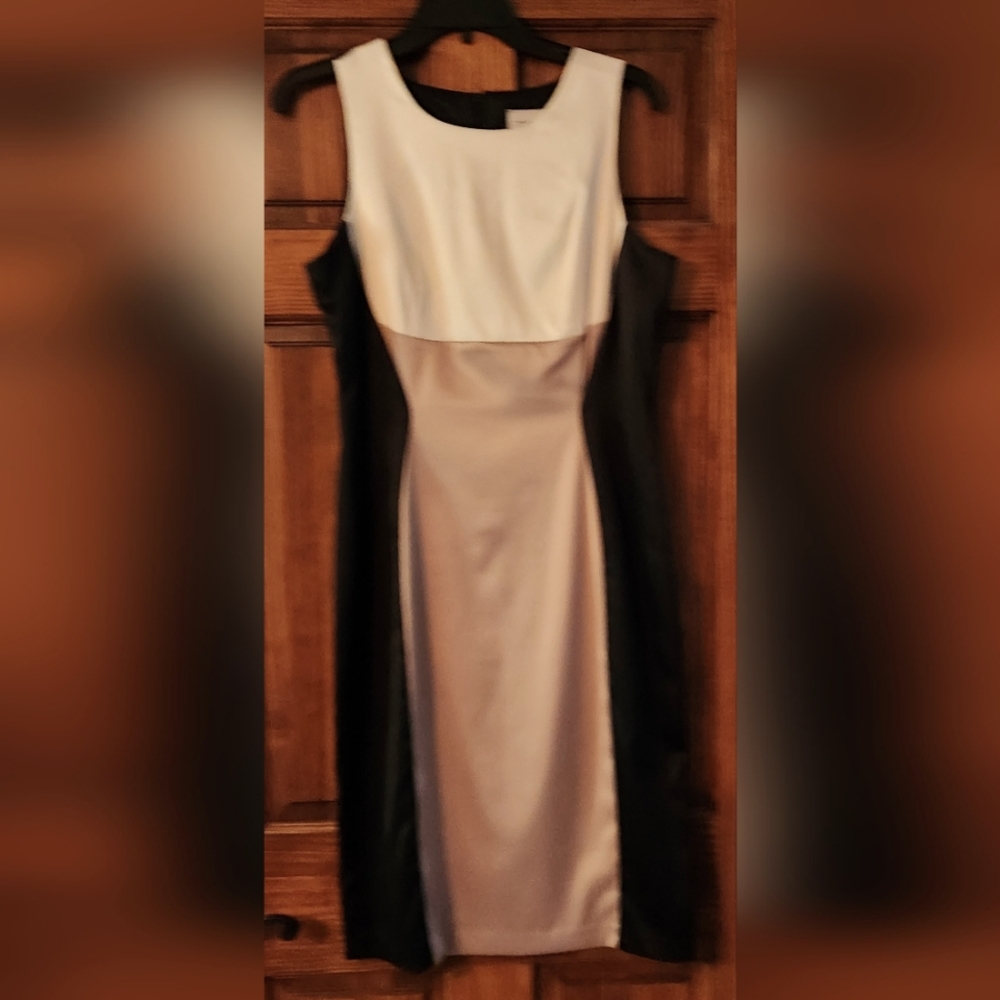 J. Taylor Dress